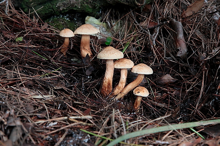 Ritrovamenti di oggi